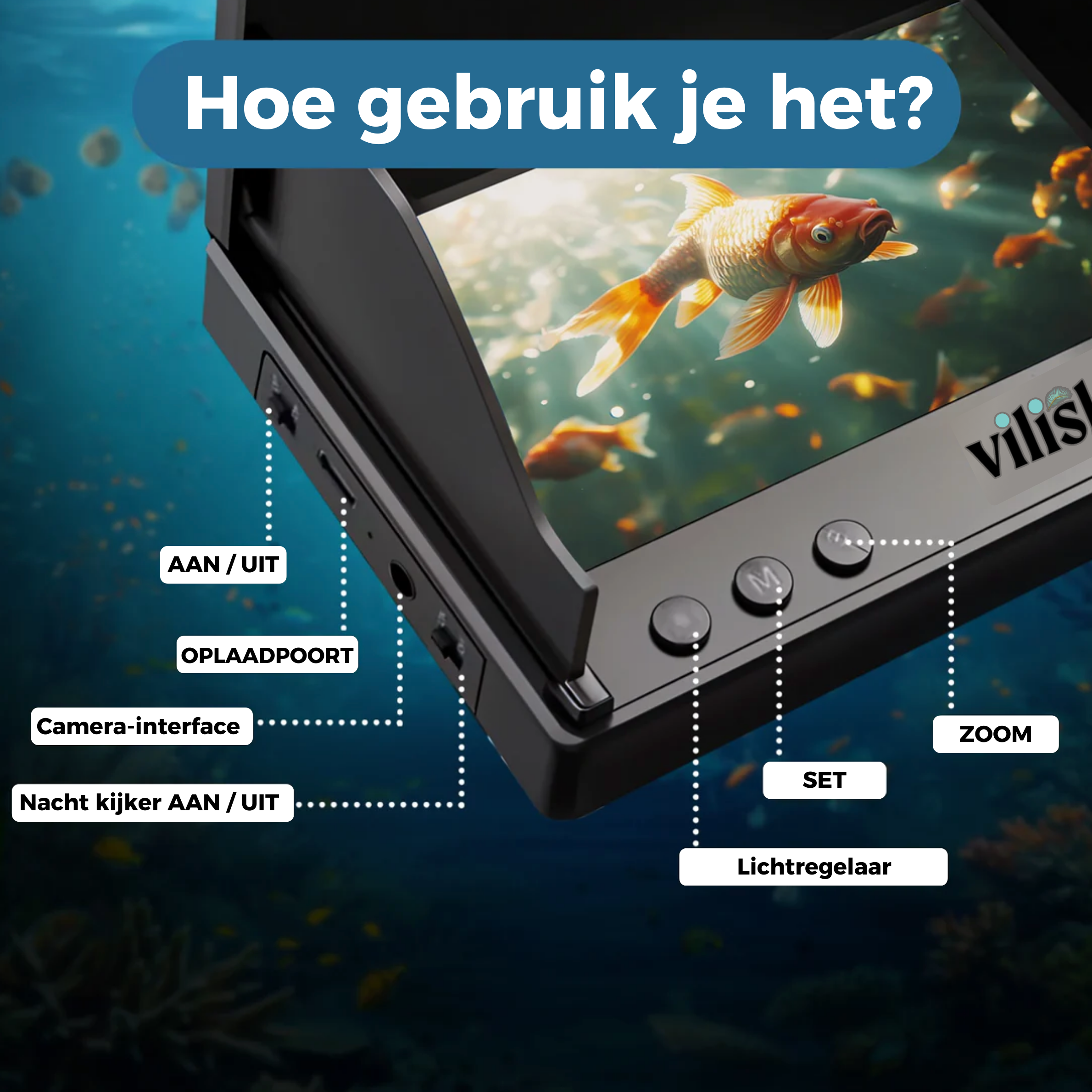 Viscam | Ontdek de onderwaterwereld, haarscherp!
