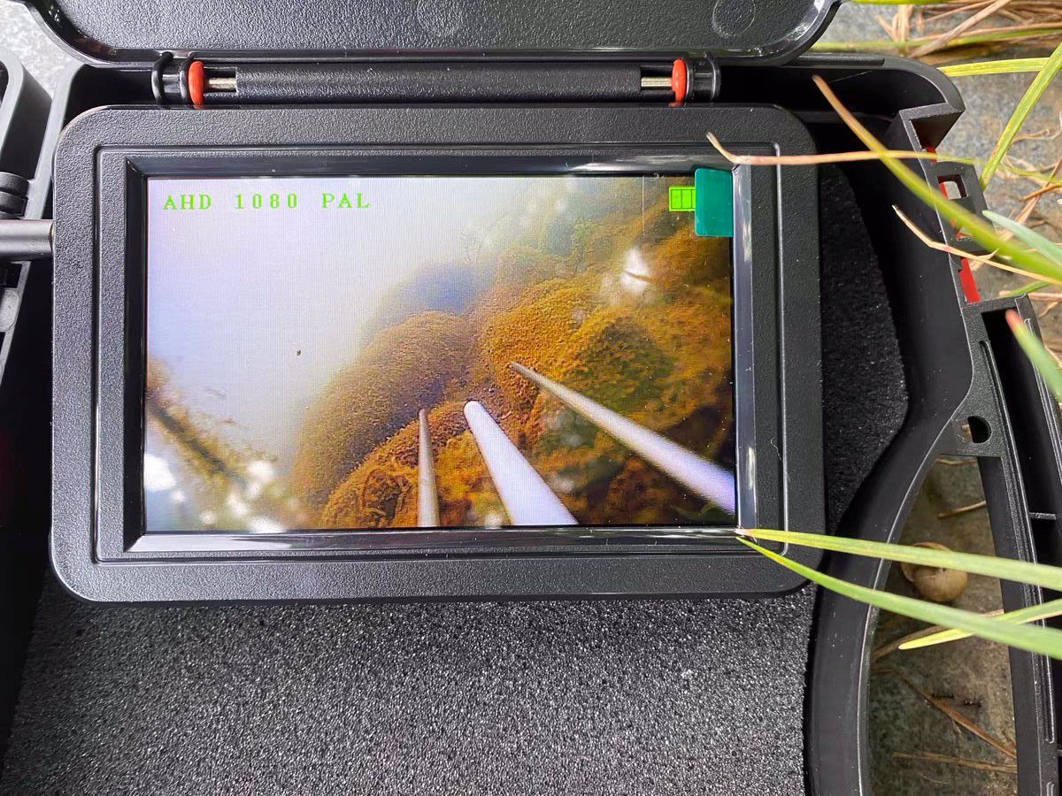 Viscam | Ontdek de onderwaterwereld, haarscherp!