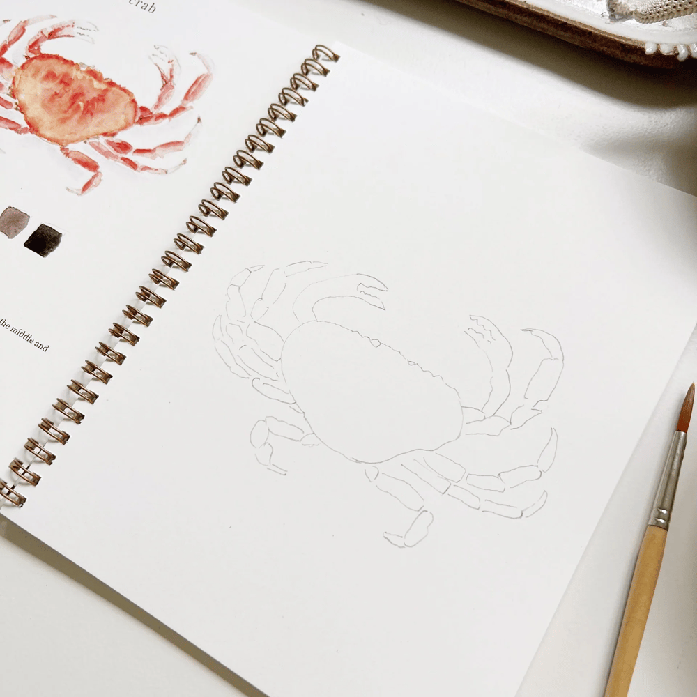 AquaKunst | Moeiteloos prachtige aquarellen maken!