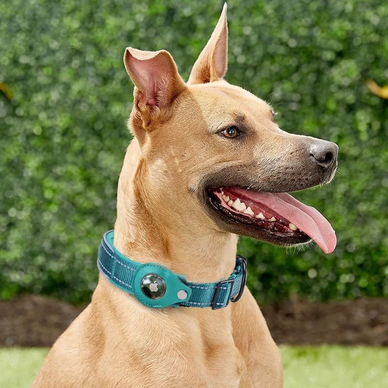 Smart Halsband | Slimme Halsband met tracker houder!